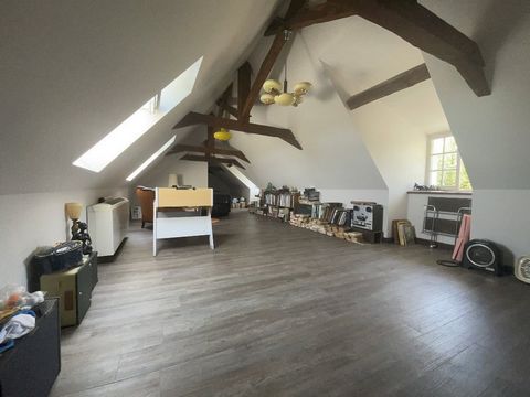 photo no. 14