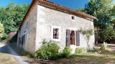 photo no. 14