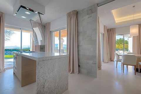 photo no. 13