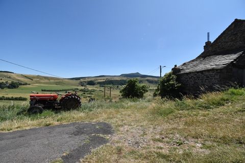 photo no. 2