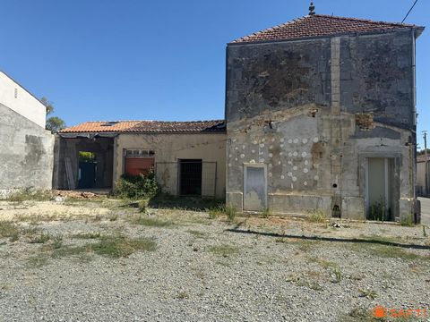 photo no. 11