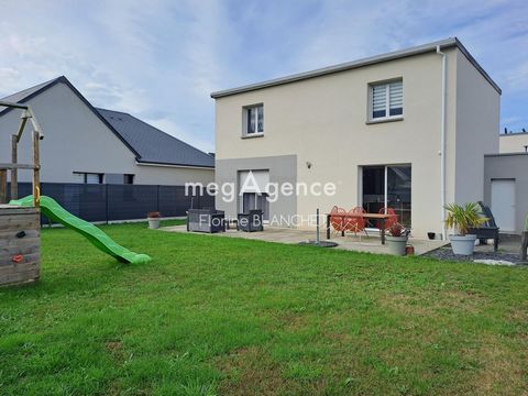 photo no. 8