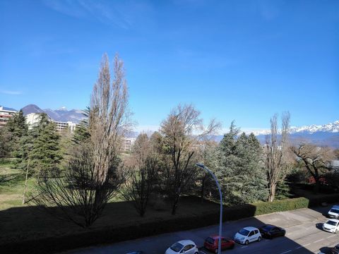 photo no. 6