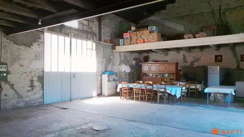 photo no. 3