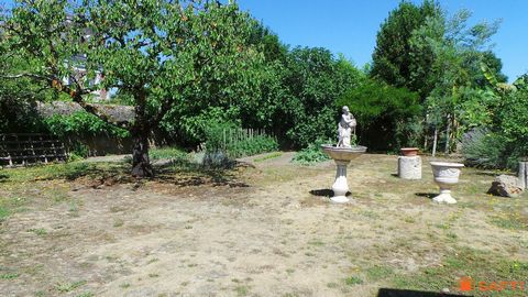 photo no. 11