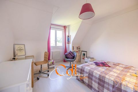 photo no. 14