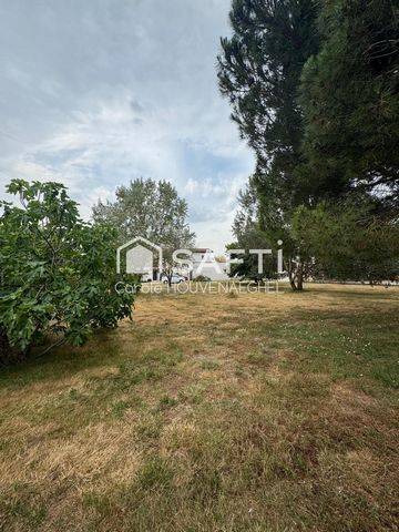 photo no. 4