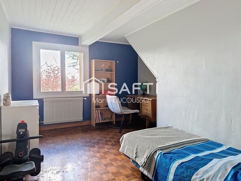 photo no. 8