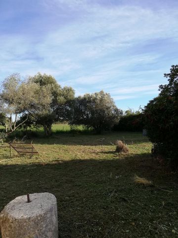 photo no. 1
