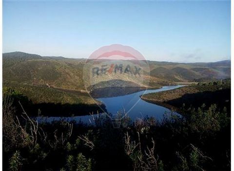 Terreno Rústico com 48.280m Bom Investimento para Turismo Rural ou possibilidade de Construção de uma Habitação de apoio a actividade agrícola. Se vendido em conjunto com outro artigo de 87.360m², há possibilidade de negociação do preço. Próximo da B...