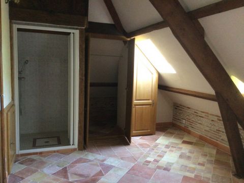 photo no. 11