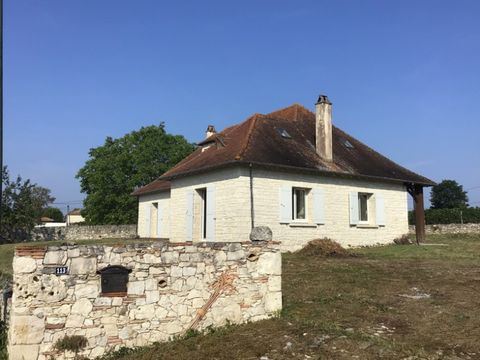 photo no. 12