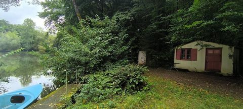 photo no. 12