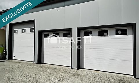 photo no. 17