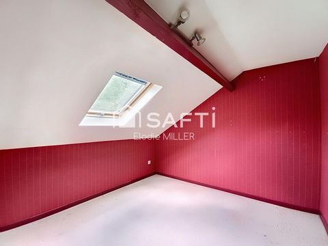 photo no. 11