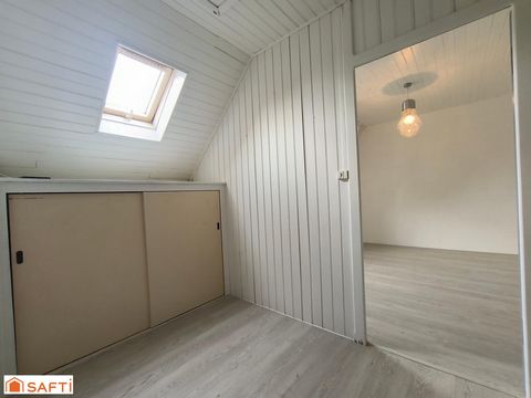 photo no. 15