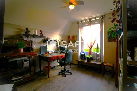photo no. 17