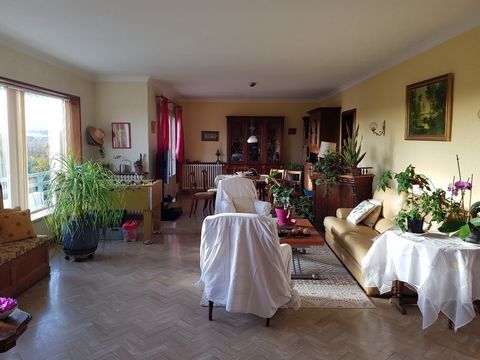 photo no. 3