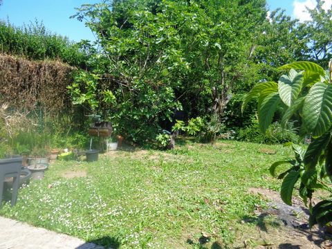 photo no. 11