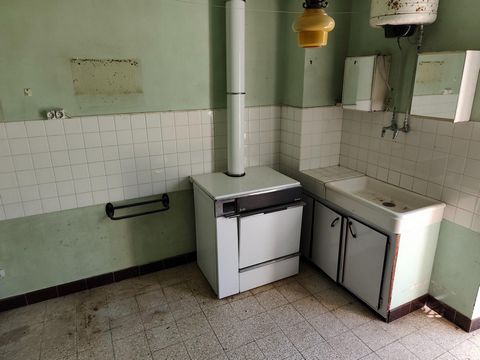 photo no. 12