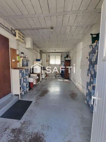 photo no. 8