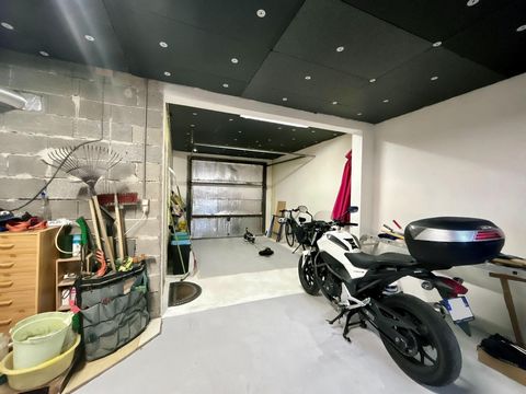 photo no. 11