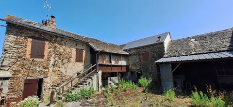 photo no. 3