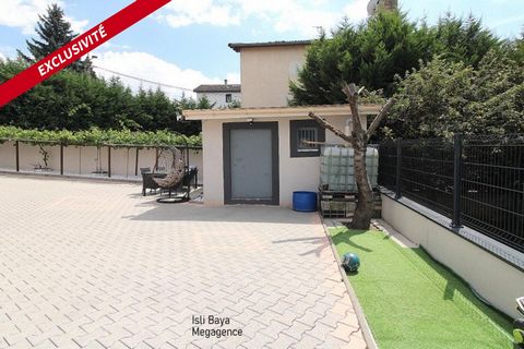 photo no. 12