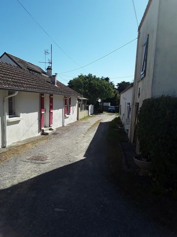 photo no. 9