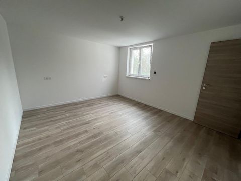 photo no. 12