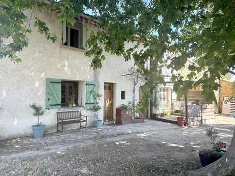 photo no. 2