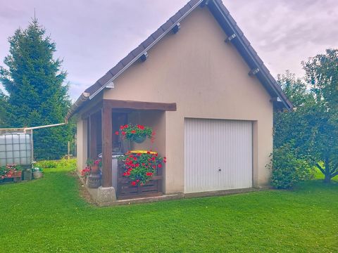 photo no. 11