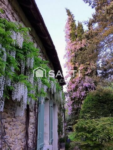 photo no. 10
