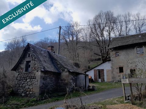 photo no. 11