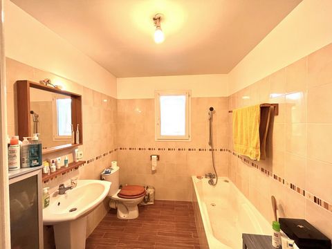 photo no. 10
