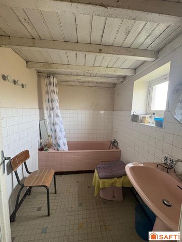 photo no. 10