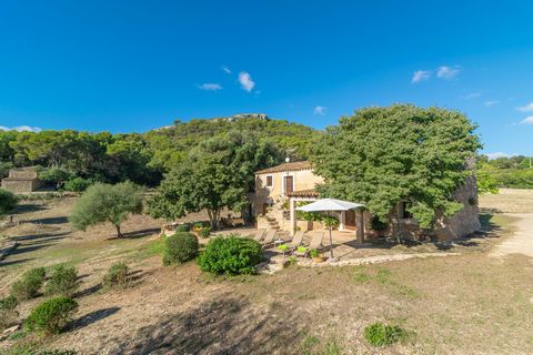 This wonderful and quiet finca near Felanitx welcomes 4 guests. Enjoy a Mallorcan summer in this cozy finca in the countryside with mountain views that will make your holiday an unforgettable experience. On the wonderful terrace, surrounded by fruit ...