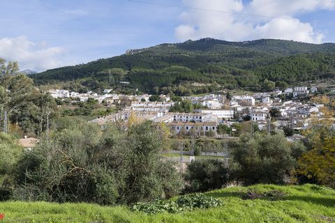 This beautiful village house located in the municipality of El Bosque welcomes 4+1 guests. If you feel like enjoying the peace and quiet of nature, this house is ideal for you. Its large windows make the rooms bright and offer unobstructed views of t...