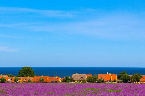 Scenic surroundings at Svaneke Svaneke Bryggergården offers cosy surroundings just 500 metres from Svaneke City Square. Here you stay in charming and scenic surroundings. Creating a tranquil atmosphere for your holiday on Bornholm. 4 holiday apartmen...