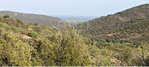 This rustic property has a total land area of 7,360m2, consisting mainly of brushwood. The land has a moderate slope and access is provided by an unpaved road. The dirt road access covers a distance of 300m to the paved road. It offers a partial sea ...