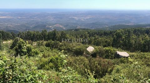 High potencial is best titel for that property located in Monchique, Algarve, south Portugal. The land is 800 metres above sea level and gieves great views on all Algavre. It is situated on a south-facing slope. There are numerous water sources, incl...