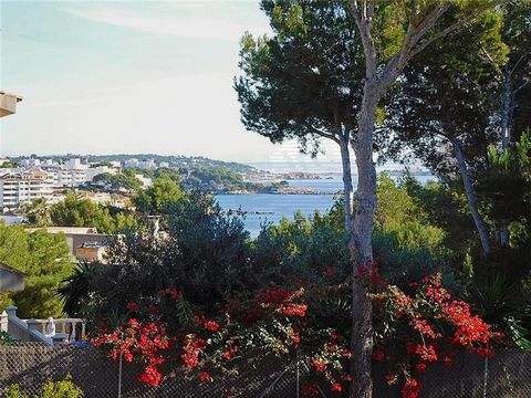 Plot of 1,295 m2 approx. with views of the port and the bay, Plot suitable to build a detached house of 440m2 approx., all services, south facing, 300 m from the sea, views of the port and the bay.