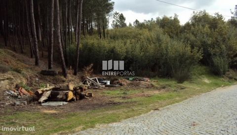 Land with approved project for construction of a home for 3rd age and day, has authorizations from the competent entities and building permit. Well located, 10 minutes from the city center. Ref.: MC06118. FEATURES: Land Area: 6 780 m2 Area: 6 780 m2 ...