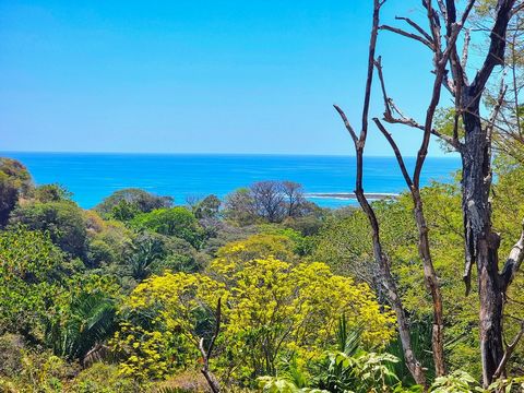 Would you like to live in a property a short distance from the sea? Bay View Garza, as its name says, is a wonderful property that has as its main view the bay of Garza Beach in Nosara, Guanacaste, having a spectacular location, this place is one of ...