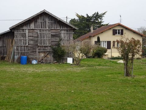 photo no. 2