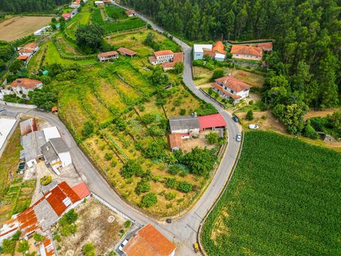 Esta maravilhosa quintinha tem 3 frentes, toda murada e confrontando sempre com estrada alcatroada. Excelente exposição solar durante todo o dia, voltada a nascente / poente. Possui umas vistas desafogadas para a cidade de Braga e o Santuário do Same...