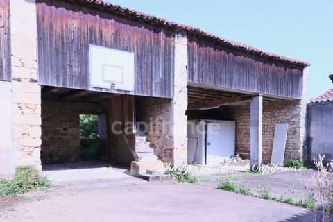 photo no. 1