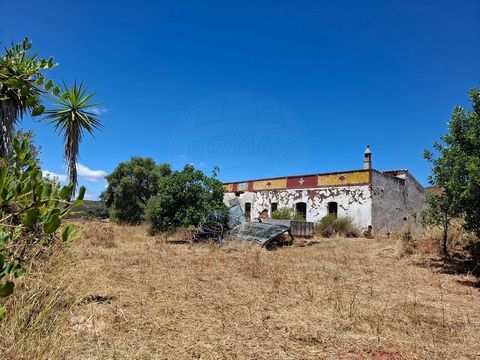 Description **EN** Excellent property to renovate! This traditional style single-storey house offers great potential and with a complete renovation project and necessary planning authorisation, it could be extended. The property is south facing and i...