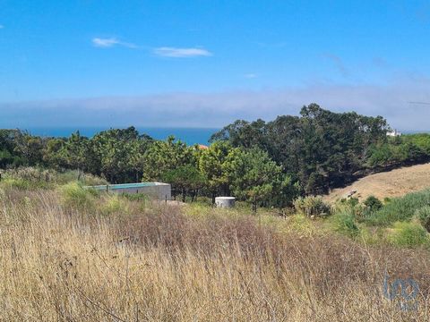 2 LOTES COM VISTA MAR + PROJECTO APROVADO PARA MORADIAS UNIFAMILIARES Se pretende tranquilidade e privacidade, com uma fantástica vista mar, então este é o local certo para si! Na encosta de uma colina, virada para o oceano e rodeada de campos verdes...