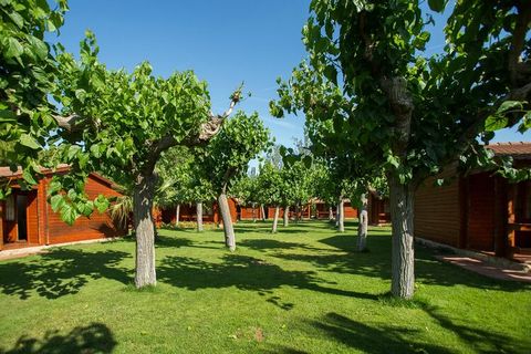 De bungalows zijn rustig gelegen op een gezellige kleine camping, deels in de schaduw onder de bomen. Deze bungalows hebben twee slaapkamers. Ze hebben een oppervlakte van 36m2, zijn volledig uitgerust en ontworpen voor gezinnen tot 5 personen. Het b...